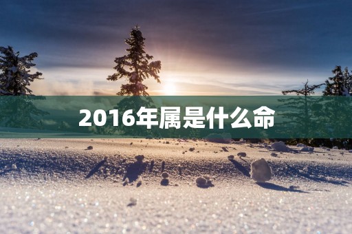 2016年属是什么命