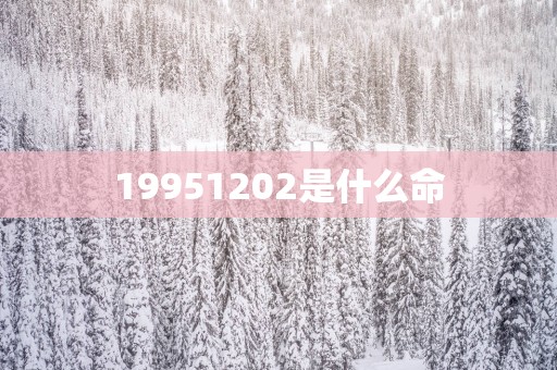 19951202是什么命