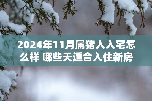 2025年11月属猪人入宅怎么样 哪些天适合入住新房