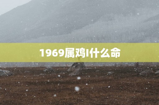 1969属鸡I什么命
