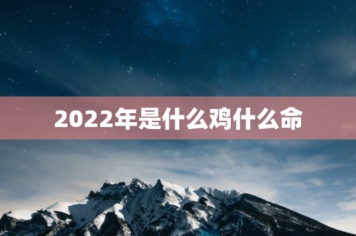 2025年是什么鸡什么命