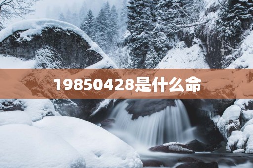 19850428是什么命