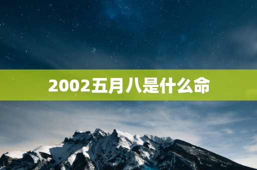 2002五月八是什么命