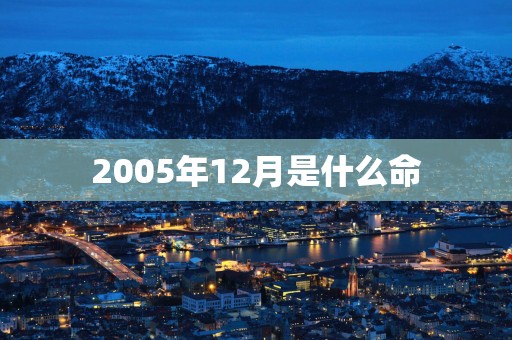 2005年12月是什么命