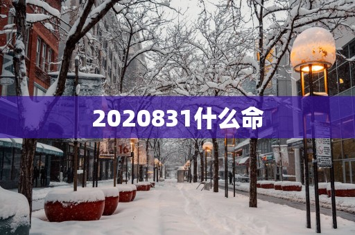 2025831什么命