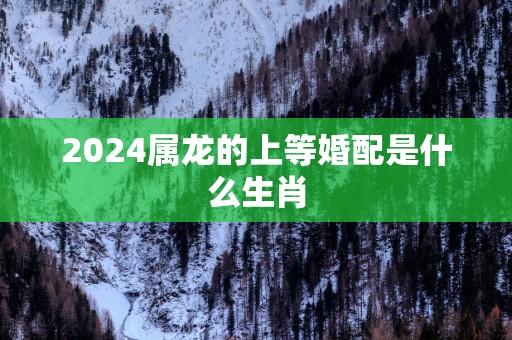 2025属龙的上等婚配是什么生肖