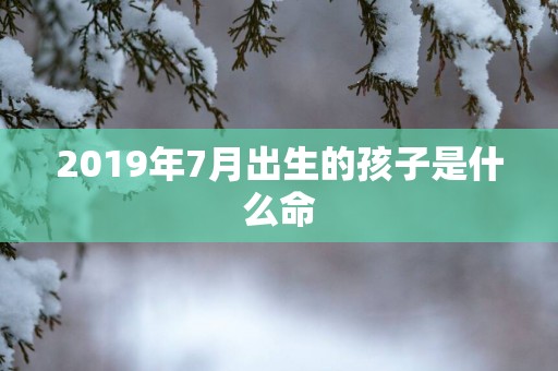 2019年7月出生的孩子是什么命