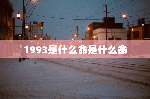 1993是什么命是什么命
