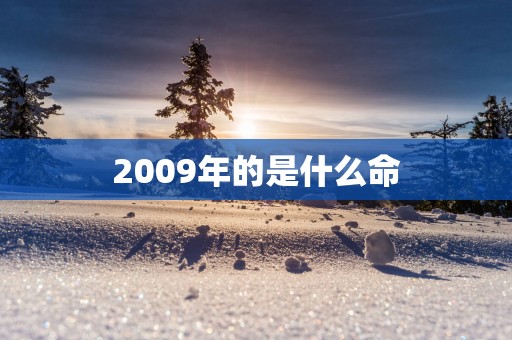 2009年的是什么命