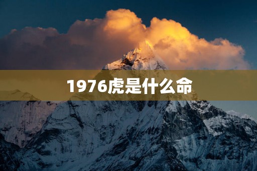 1976虎是什么命