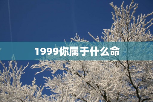 1999你属于什么命