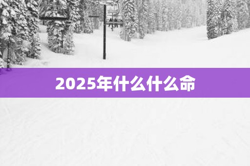 2025年什么什么命