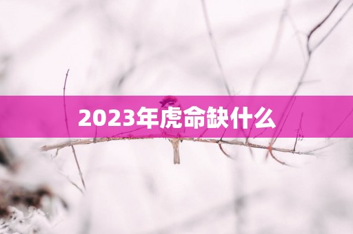 2025年虎命缺什么