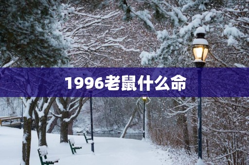 1996老鼠什么命