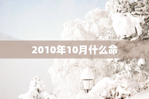 2010年10月什么命
