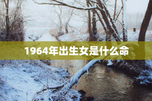 1964年出生女是什么命