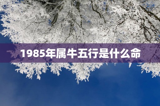 1985年属牛五行是什么命