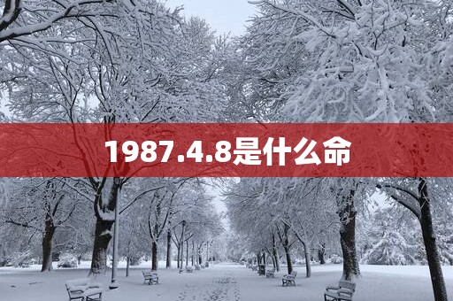 1987.4.8是什么命