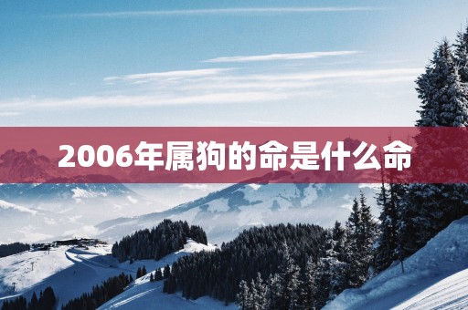 2006年属狗的命是什么命