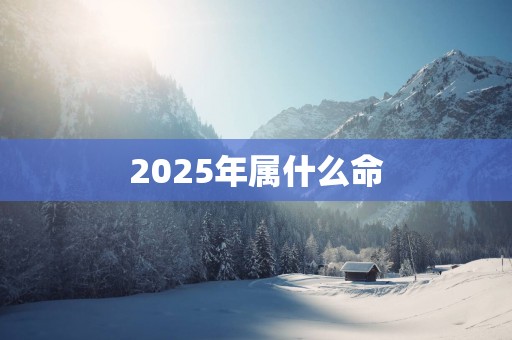 2025年属什么命