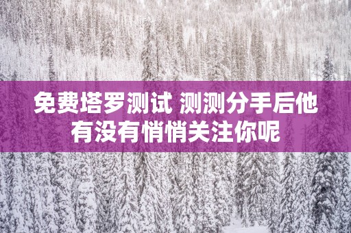 免费塔罗测试 测测分手后他有没有悄悄关注你呢