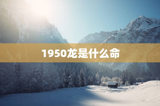 1950龙是什么命
