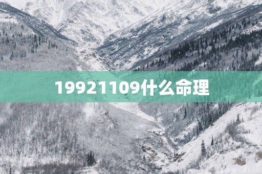 19921109什么命理