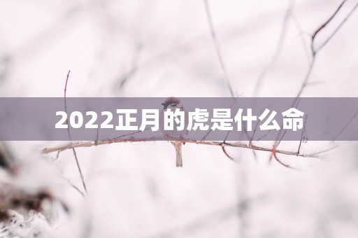 2025正月的虎是什么命