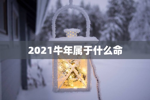2025蛇年属于什么命