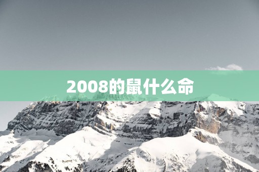 2008的鼠什么命