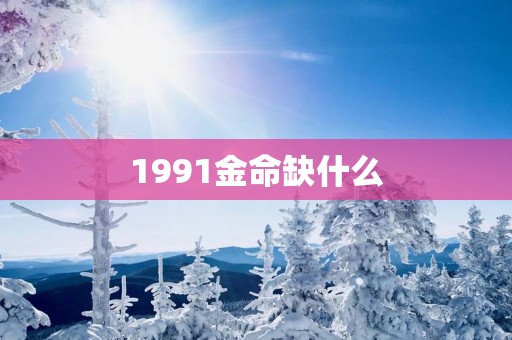1991金命缺什么