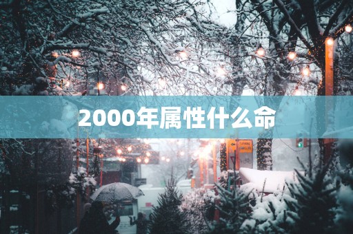 2000年属性什么命