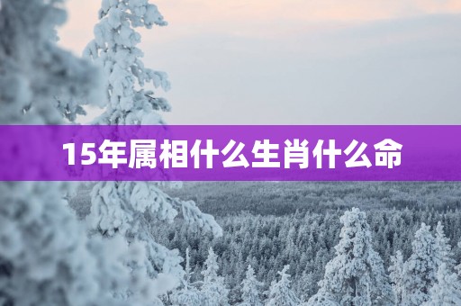 15年属相什么生肖什么命