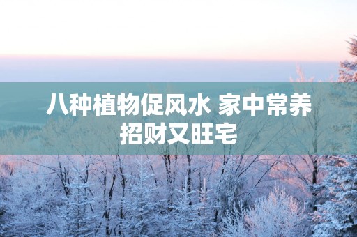 八种植物促风水 家中常养招财又旺宅