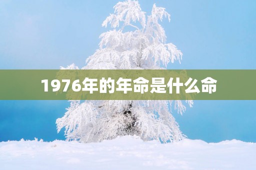 1976年的年命是什么命