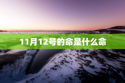11月12号的命是什么命