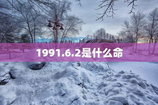 1991.6.2是什么命
