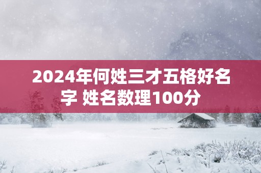 2025年何姓三才五格好名字 姓名数理100分