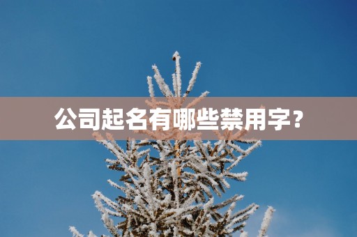 公司起名有哪些禁用字？