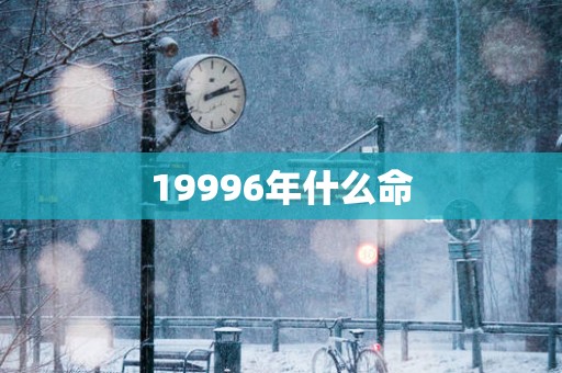 19996年什么命