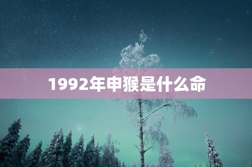 1992年申猴是什么命