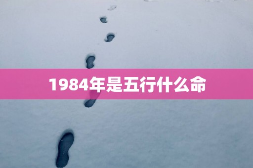 1984年是五行什么命