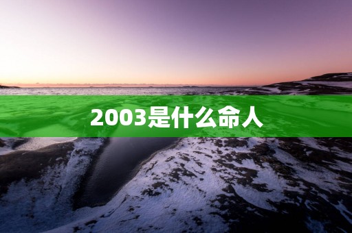 2003是什么命人