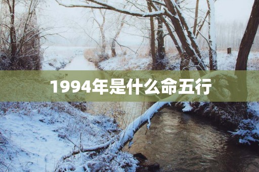 1994年是什么命五行