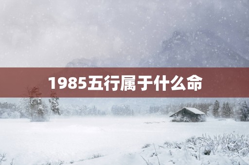 1985五行属于什么命