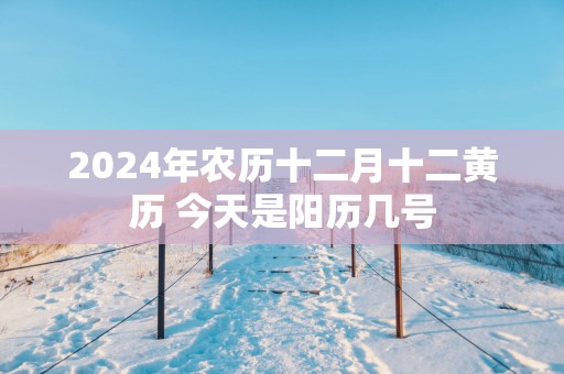 2025年农历十二月十二黄历 今天是阳历几号