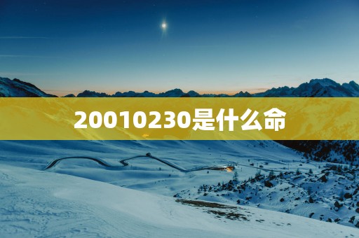 20010230是什么命