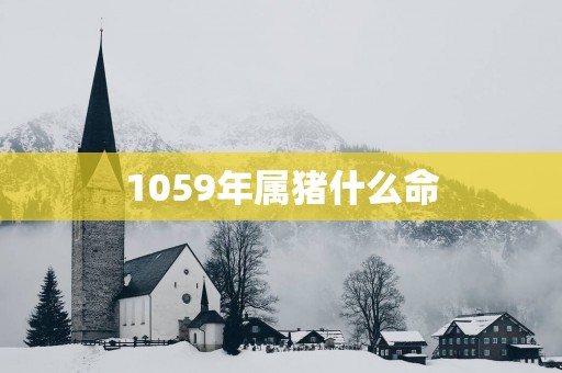 1059年属猪什么命