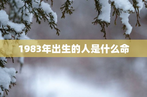 1983年出生的人是什么命