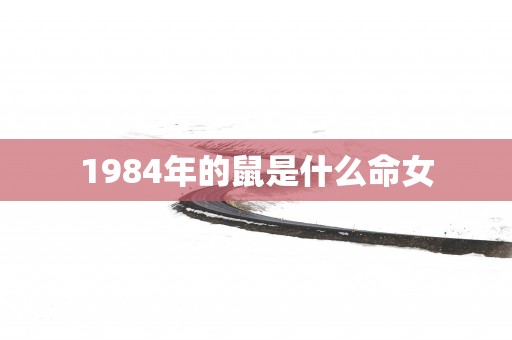 1984年的鼠是什么命女